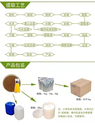 白芷深加工产品全解析 提取物、浸膏、速溶粉的市场与价值