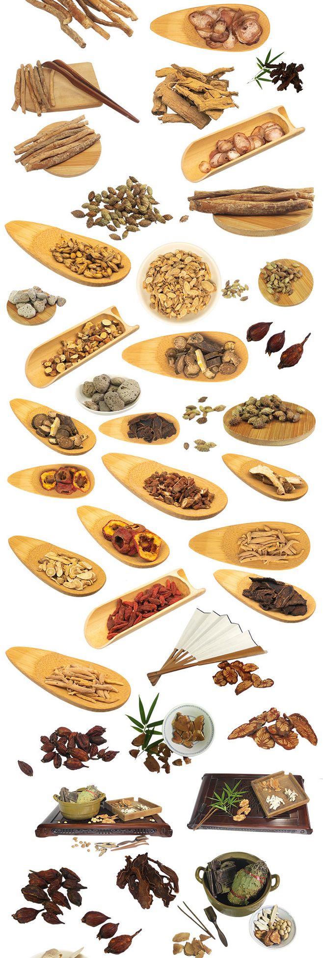 344款中医药铺草本植物中药集合养生中草药海报元素PNG设计素材解析与应用