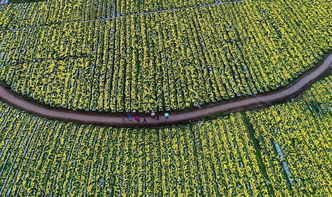 献礼市两会 定南以中药产业为引擎，奋力追赶跨越开启新时代征程