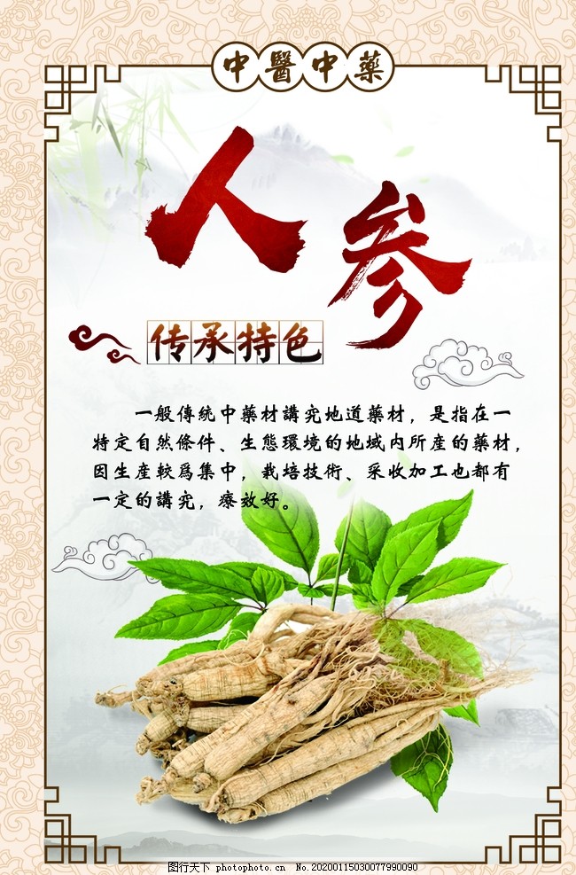 人参 中医药宝库中的“百草之王”