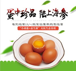 德福尚品小球藻系列产品亮相第25届兰洽会，引领初级农产品创新潮流